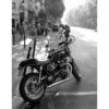 Triumph Saint-Germain-Des-Prés Juliste
