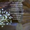 Tässä ja nyt Juliste