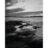 Archipelago Scene 2 Juliste