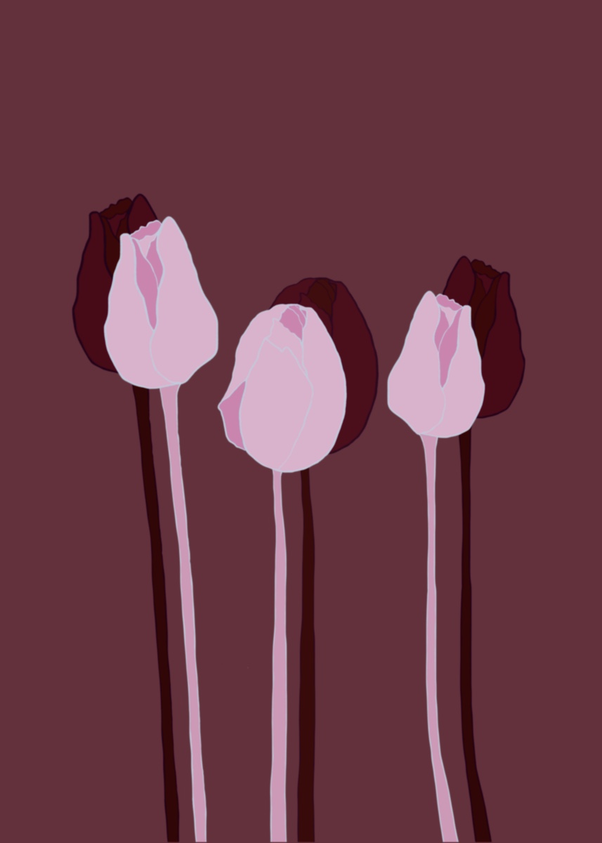 Tulips Juliste